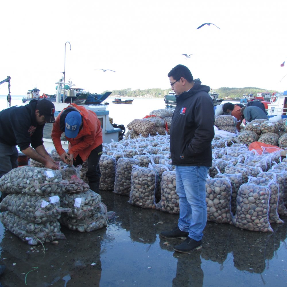 Alcalde de Calbuco anunció querella contra lancheros por vender mariscos con marea roja