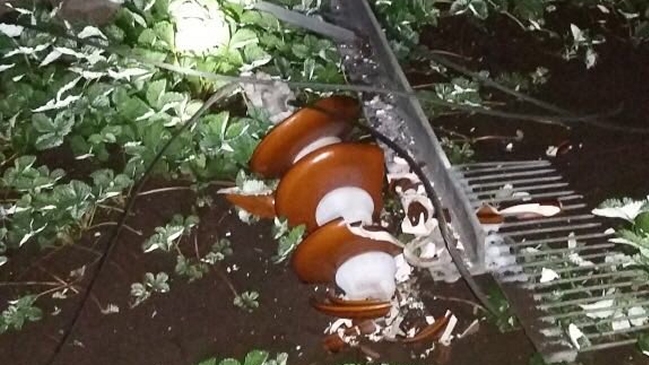 Tres comunas de la Región del Bíobío sin luz por robo de tendido eléctrico