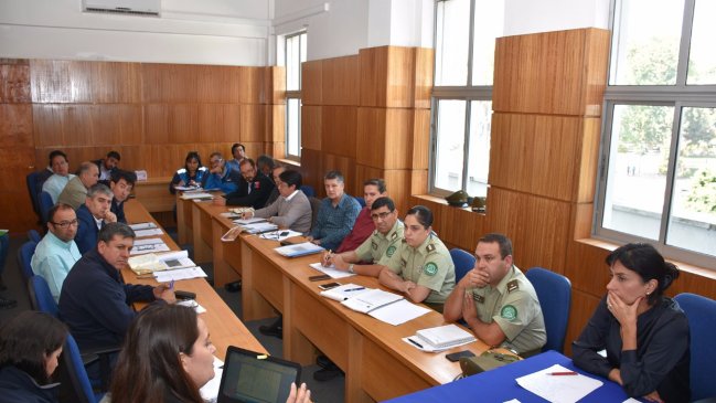 Actualizarán planes de riesgo por posible erupción de complejo volcánico Nevados de Chillán