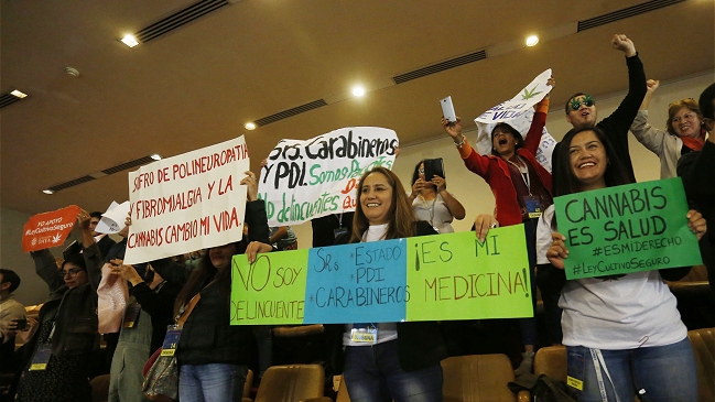 Cámara aprobó en general proyecto que regula el uso medicinal del cannabis