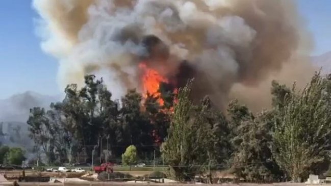 Incendio forestal amenazó hospital siquiátrico El Peral