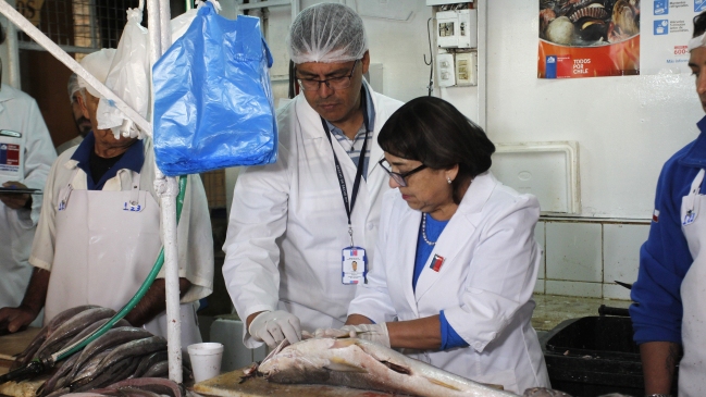 Autoridades entregaron recomendaciones para comprar mariscos esta Semana Santa