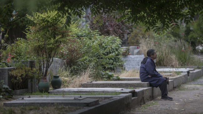 Denuncian muerte de 180 árboles del Cementerio General