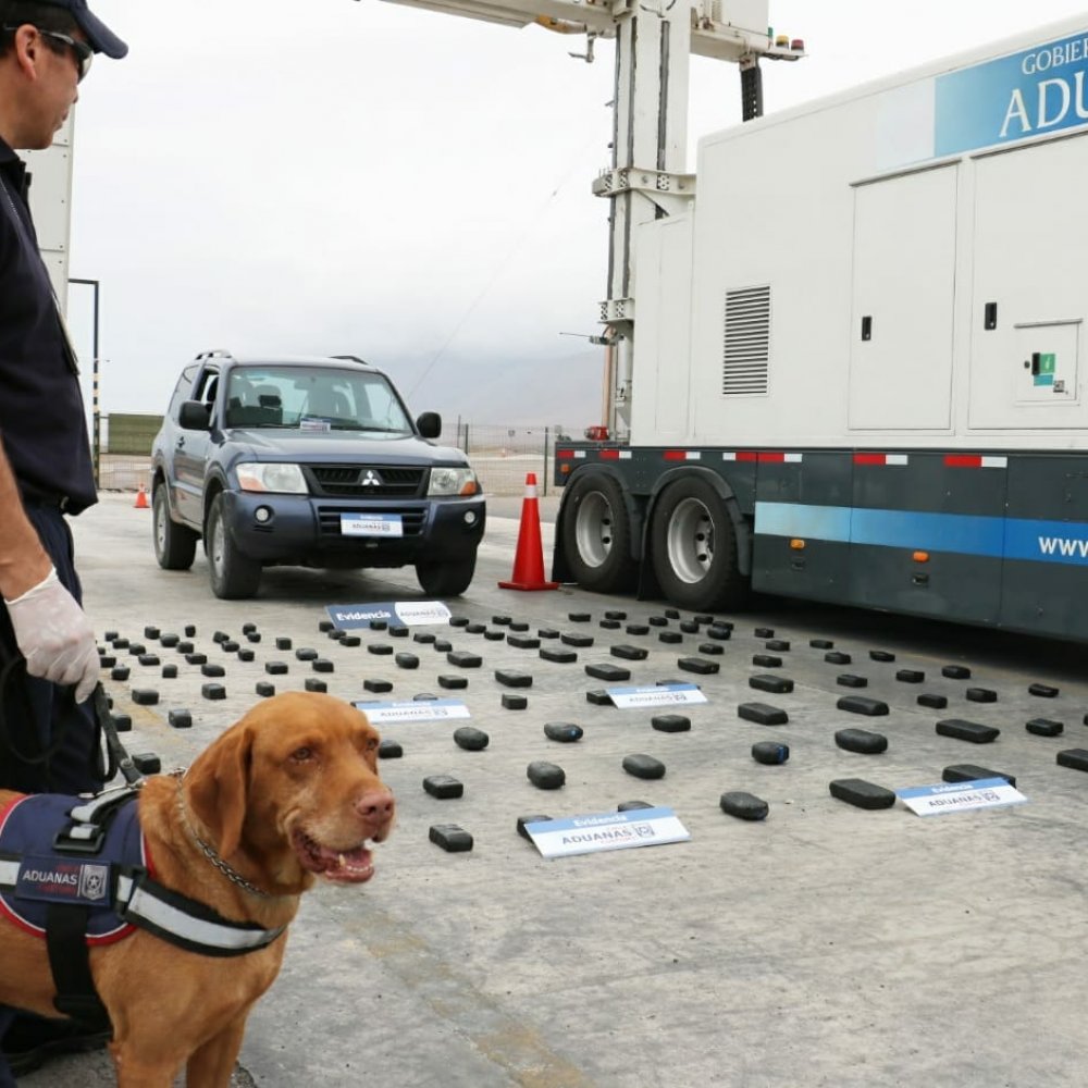 Incautaron más de 800 millones de pesos en droga en Iquique