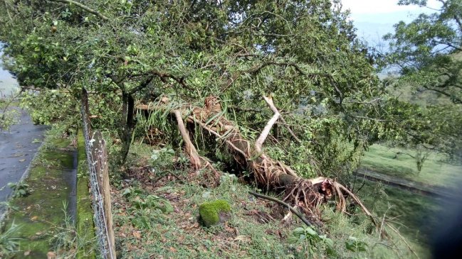 Dos personas murieron por el impacto de un rayo en Colombia