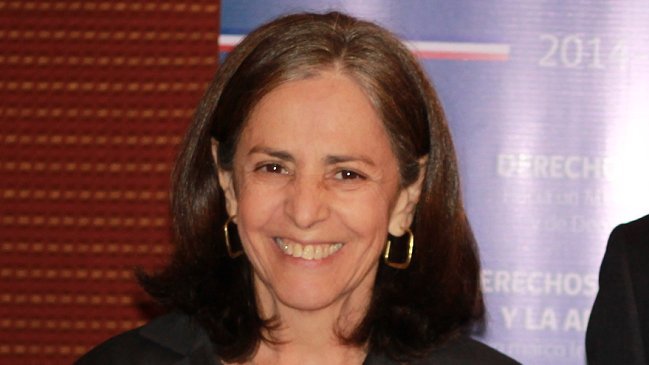 Lucro: UDI defiende a Pilar Armanet y llama 