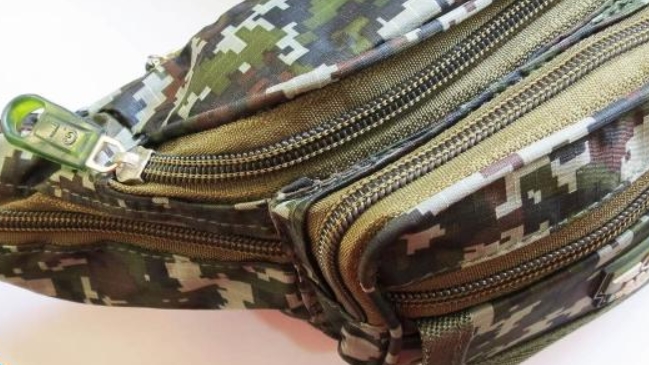 Carabineros encontraron banano con 2,6 millones de pesos