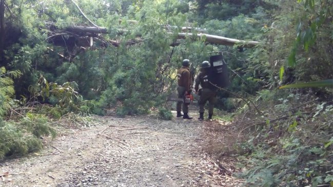 Tres detenidos tras emboscada a Carabineros en Collipulli