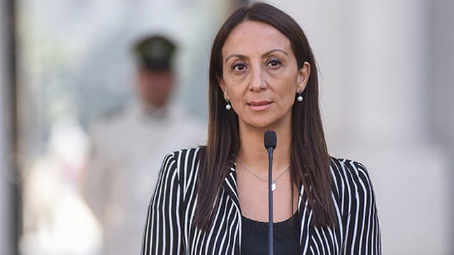 Ministra Pérez lamentó dichos de Ezzati por identidad de género