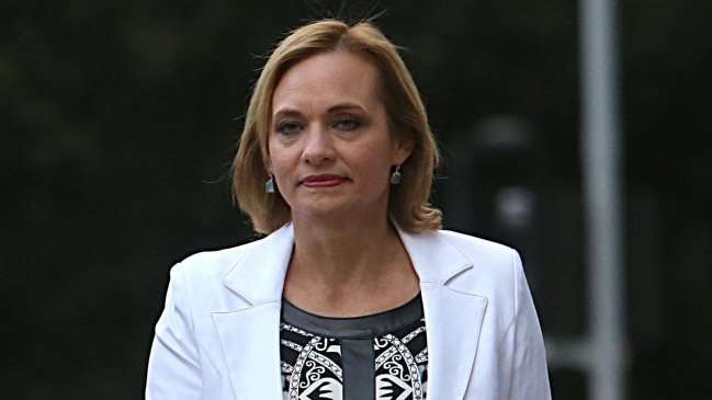 Senadores DC piden explicaciones a Goic por asistencia a comisión de seguridad