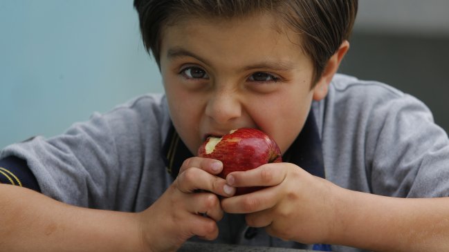 Los Ríos: Revelan cifras de sobrepeso en escolares