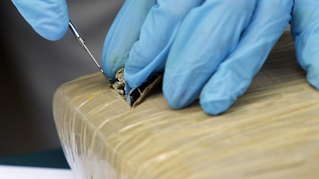 Sancionan a policías argentinos que culparon a ratas por desaparición de 540 kilos de drogas