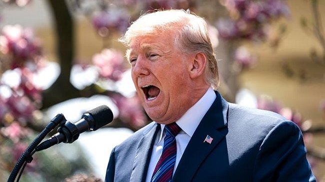 Donald Trump está considerando el regreso de Estados Unidos al TPP