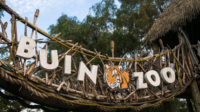 Carabinero frustró un violento asalto en el Buin Zoo