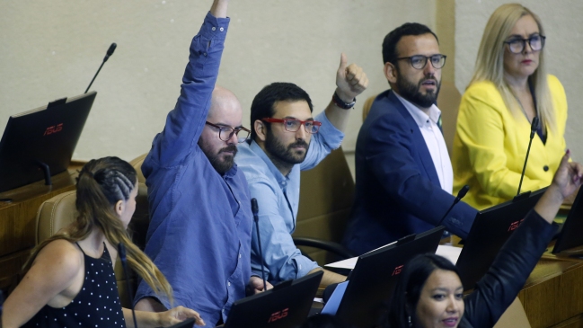 Los proyectos que condenan la violencia que dividieron al Frente Amplio en la Cámara