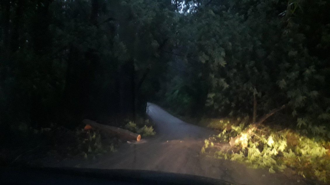 Barricadas interrumpieron el tránsito en rutas costeras de Valdivia