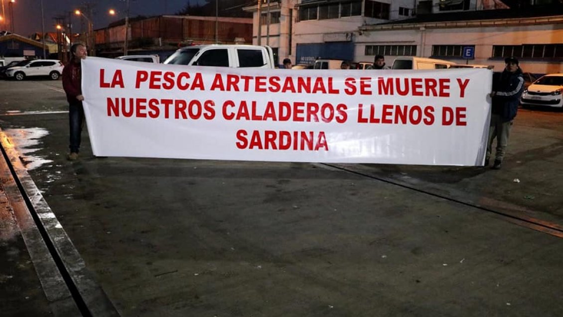 Pescadores artesanales del Biobío navegaron al unísono para exigir aumento de cuotas