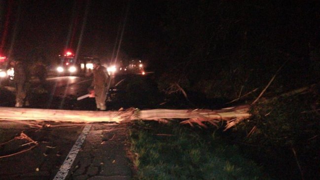 Los Ríos: Fiscalía investiga bloqueo intencional de ruta Valdivia-Paillaco