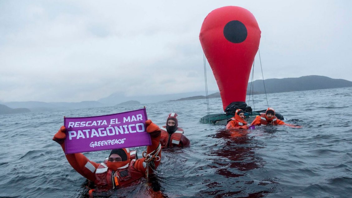 Magallanes: Activistas de Greenpeace se lanzaron a las gélidas aguas del Seno Skyring