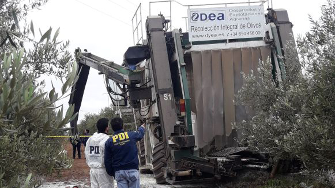 Trabajador murió electrocutado en fundo cercano a Ovalle