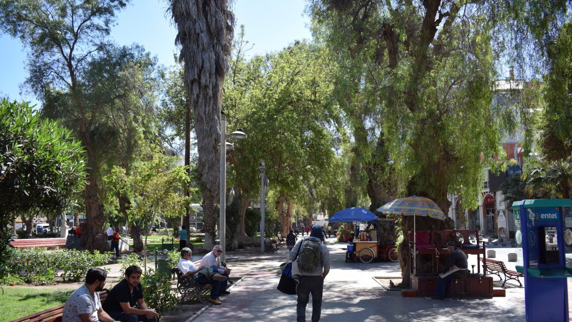 Censo arrojó que apenas un 3% de la población de Atacama es extranjera