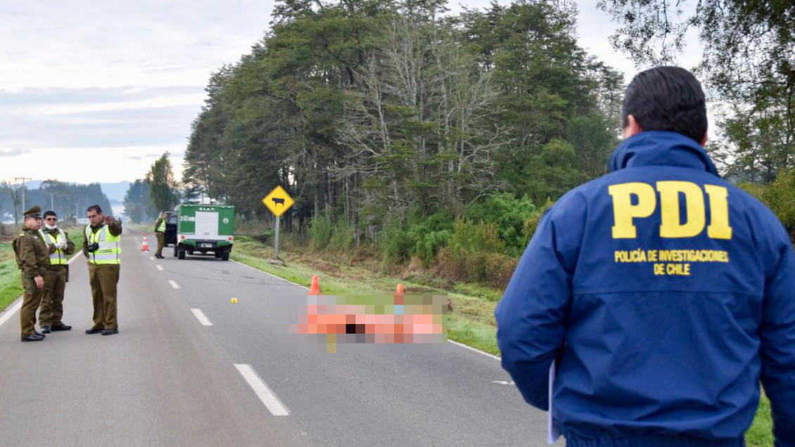 Los Ríos: Encuentran cadáver en ruta Los Lagos - Futrono
