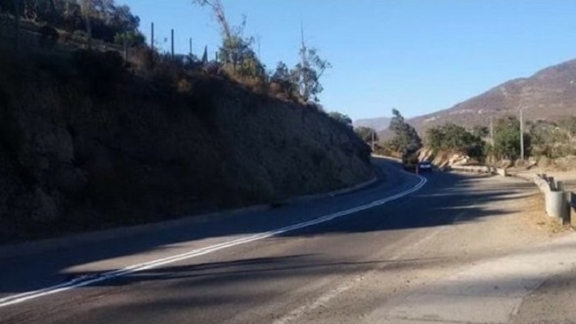Denuncian que carretera fue pintada en el norte sobre un perro atropellado