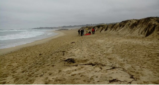 Tragedia en El Tabo: Profesor murió tras rescatar a sus alumnos del mar
