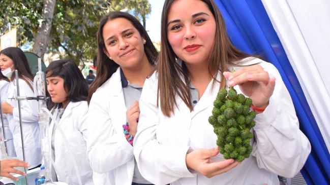 Vallenar: Proyectos escolares sorprendieron por su originalidad