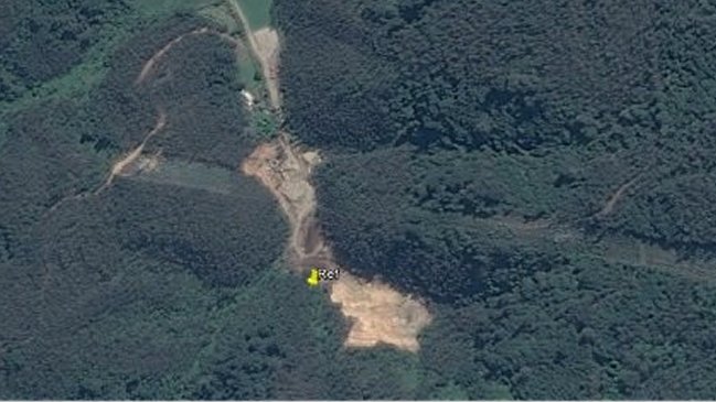 Conaf constató tala de bosque exótico en cantera de Coronel