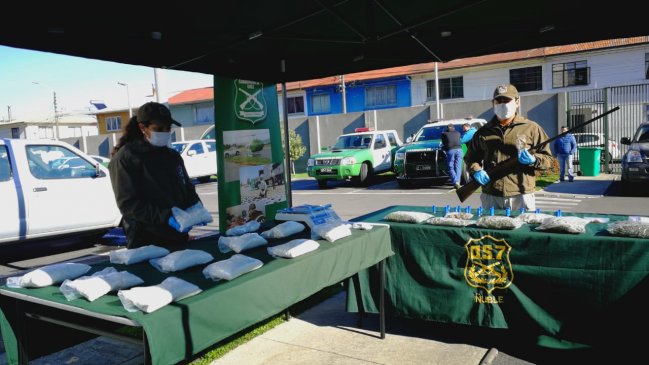 Ñuble: Incautan marihuana y pasta base avaluada en más de 100 millones de pesos