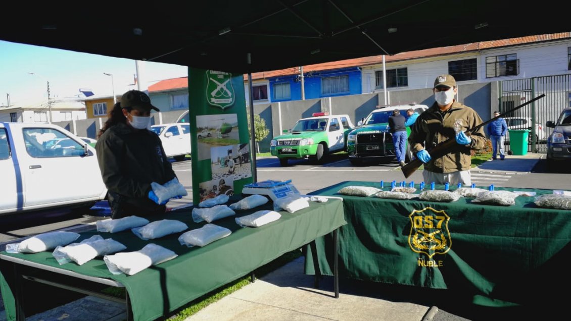 Ñuble: Incautan marihuana y pasta base avaluada en más de 100 millones de pesos