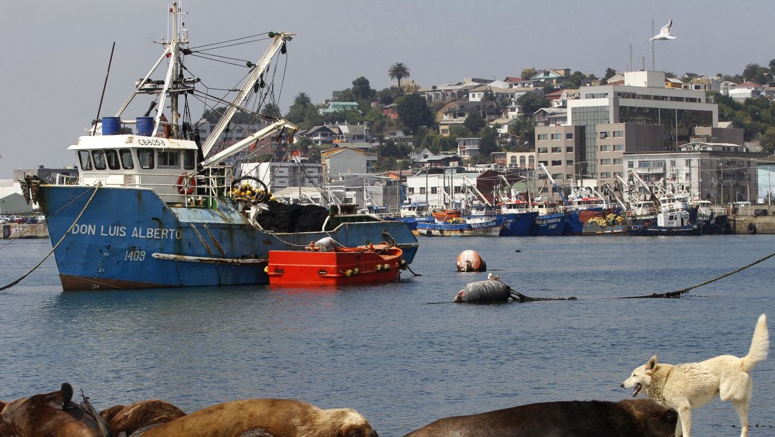 Ley de Pesca: Gobierno eliminará la renovación permanente de concesiones