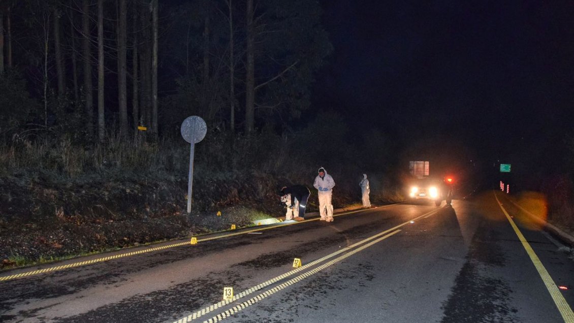 Los Ríos: Encontraron cadáver en la ruta Lago Ranco - Riñinahue