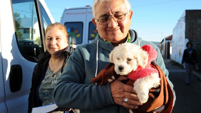 Más de 150 perros fueron inscritos en operativo veterinario en Punta Arenas