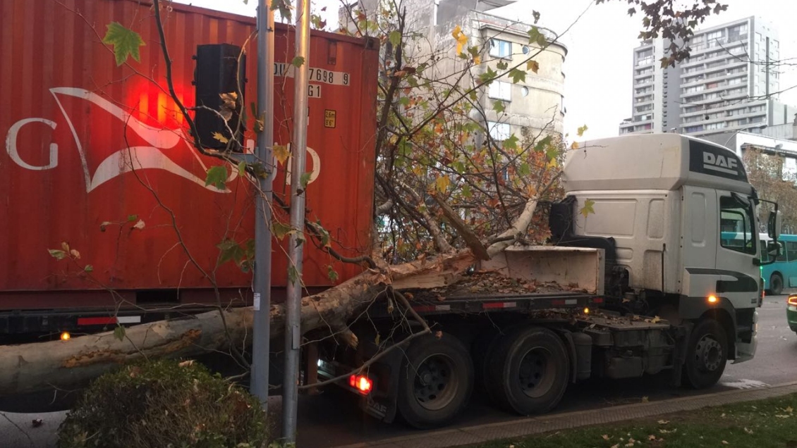 Caída de árbol genera gran congestión en el centro de Santiago