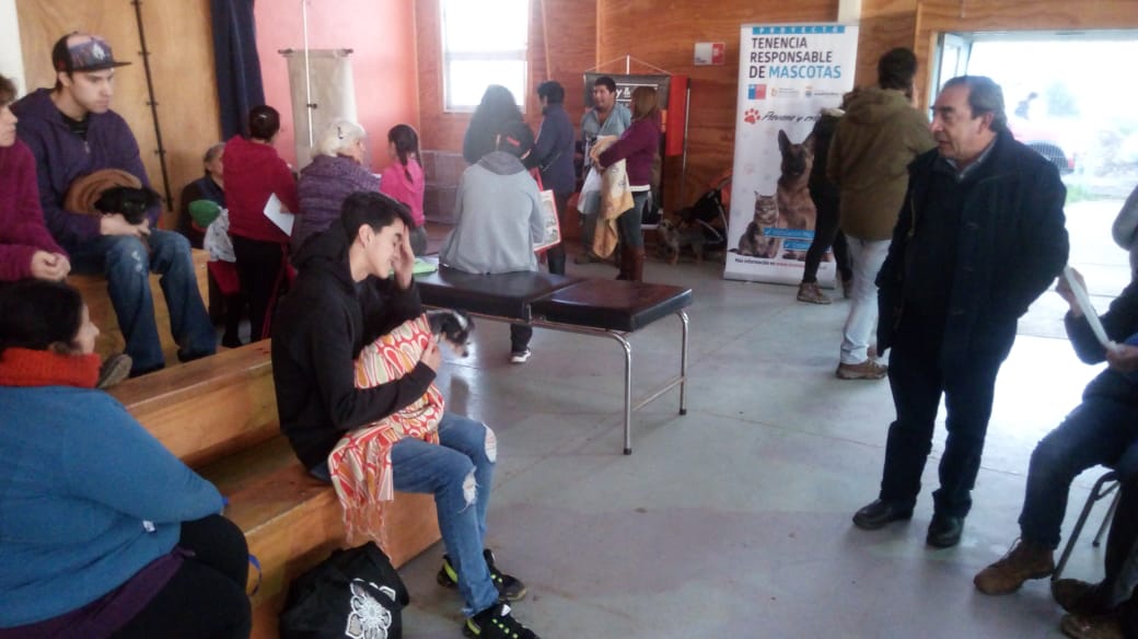 Mariquina: Iniciaron operativos gratuitos de esterilización e implantanción de microchips a mascotas