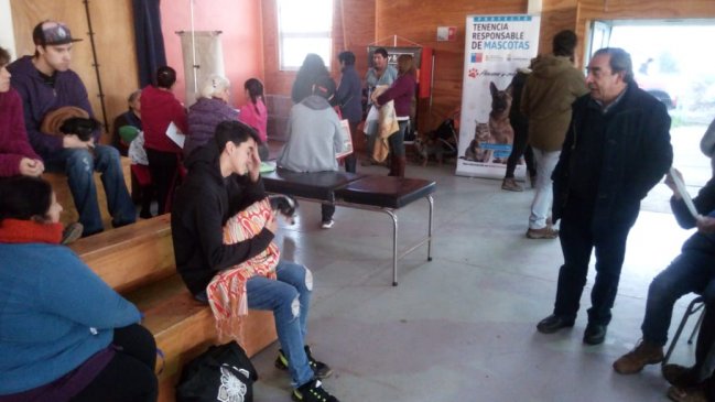 Mariquina: Iniciaron operativos gratuitos de esterilización e implantanción de microchips a mascotas