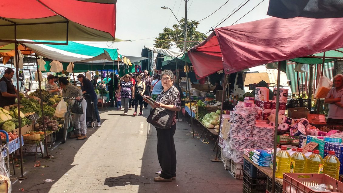Feriantes de Coquimbo piden a autoridades y policías ordenar la 