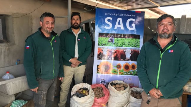 Arica: Confiscan 250 kilos de hortalizas de alto riesgo provenientes de Bolivia