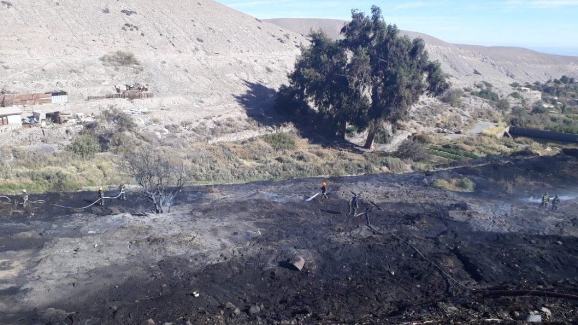 Conaf presentó querella por incendio forestal cerca a Mamiña