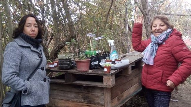 Servicio de Salud O'Higgins planea incorporar terapia de hierbas medicinales