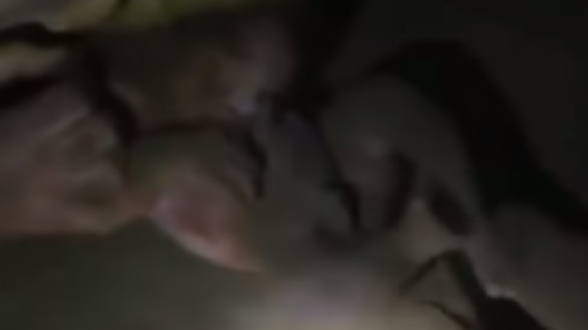 Bebé sobrevivió tras ser enterrada después del parto