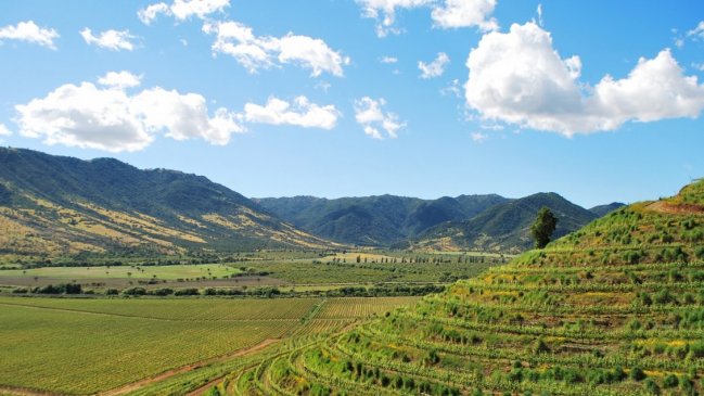 Región de O'Higgins será sede de la IV Conferencia Mundial de Enoturismo