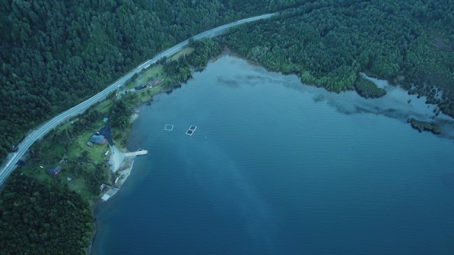 Empresa salmonera está en la mira de los chaiteninos