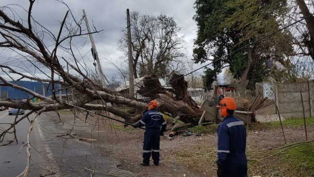 Región del Maule: Corte de energía afecta a 42 mil clientes