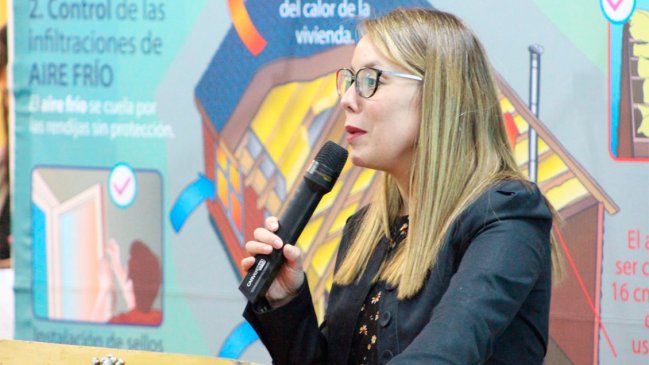 Seremi del Medio Ambiente de Aysén formalizada por hurto simple renunció a su cargo