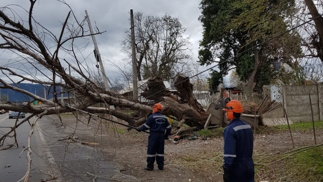 Región del Maule: Corte de energía afecta a 42 mil clientes