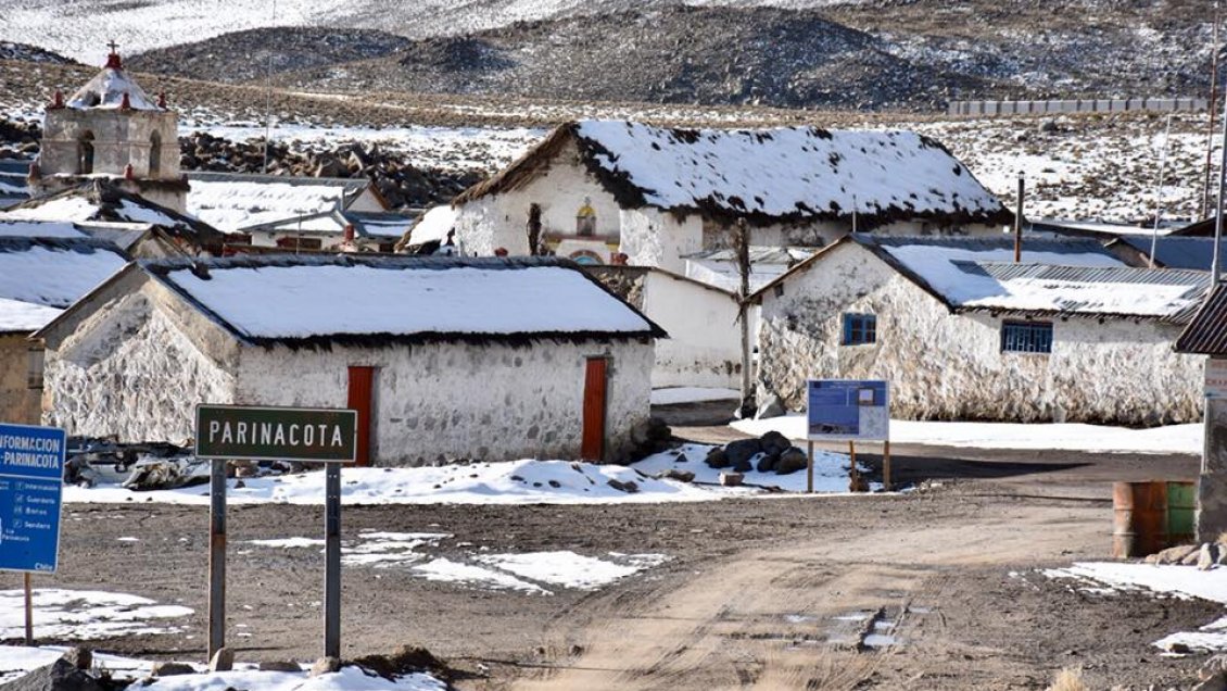 Decretan Zona de Emergencia Agrícola en Parinacota y en Camarones