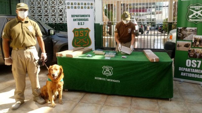 Perro policial se lució en la detección de 46 kilos de droga en controles carreteros